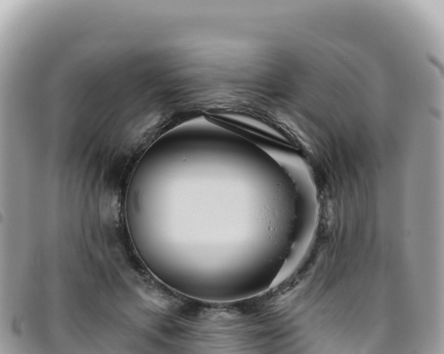 X0000095930597200801181442