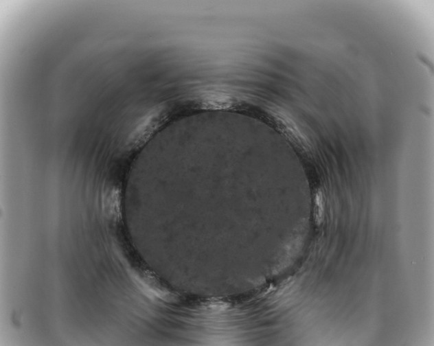 X0000095930598200801181442