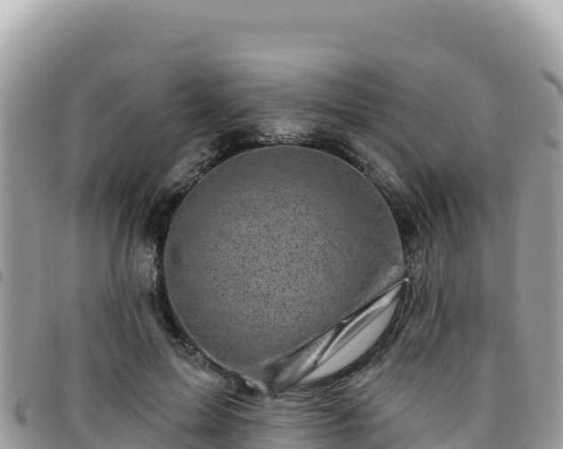 X0000095930599200801181442