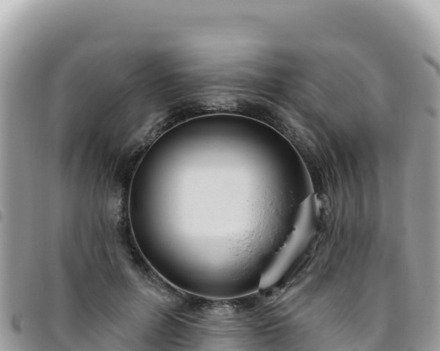 X0000095930600200801181442