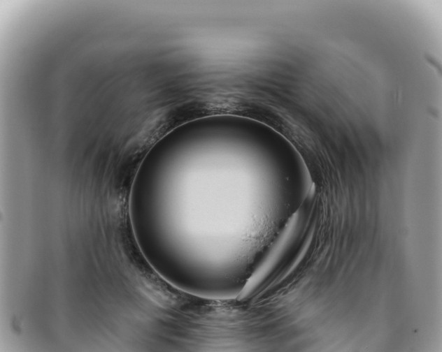 X0000095930601200801181442