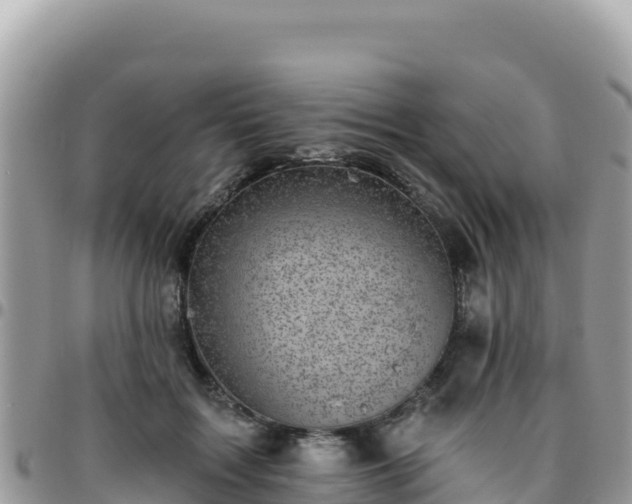 X0000095930603200801181442