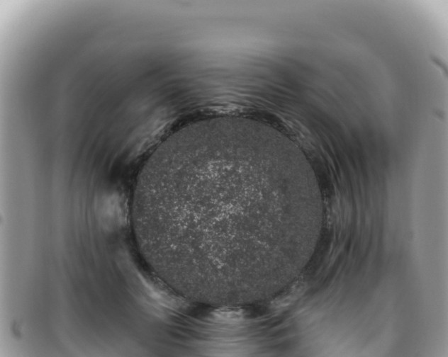 X0000095930606200801181442