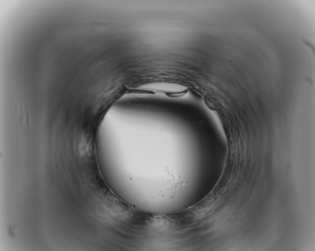 X0000095930608200801181442