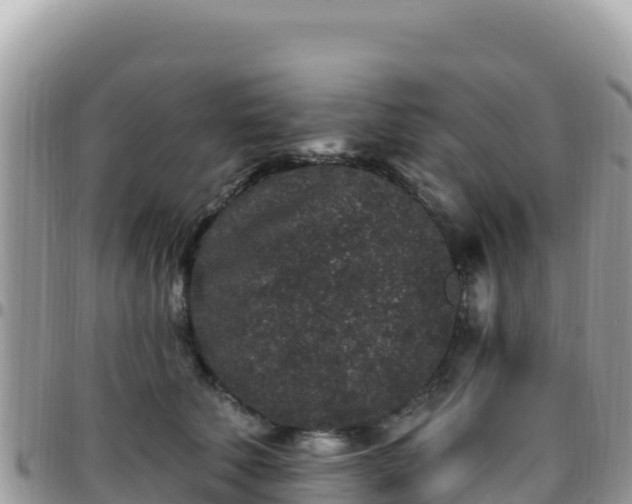 X0000095930610200801181441