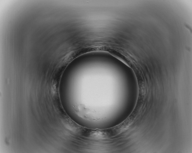 X0000095930611200801181441