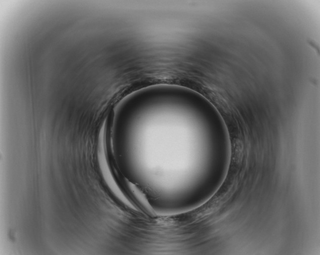 X0000095930612200801181441