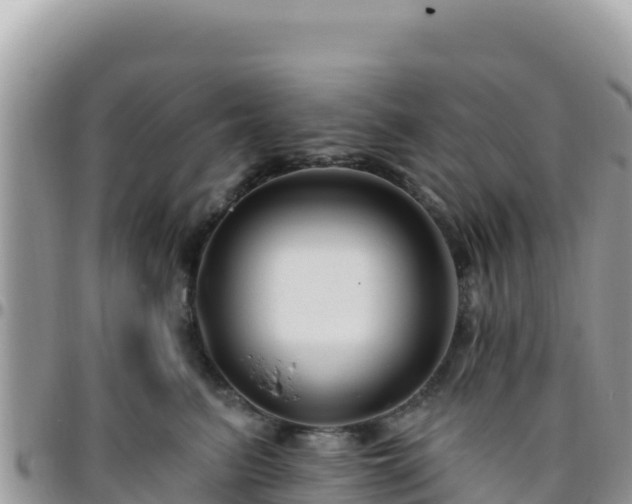 X0000095930615200801181441