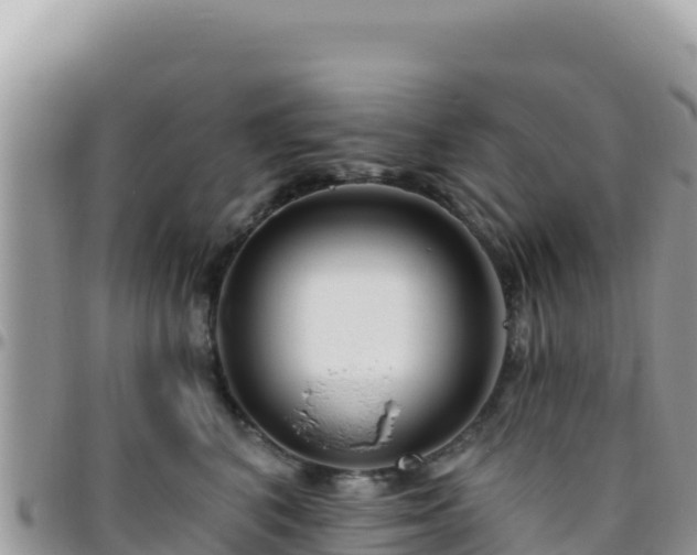 X0000095930616200801181441