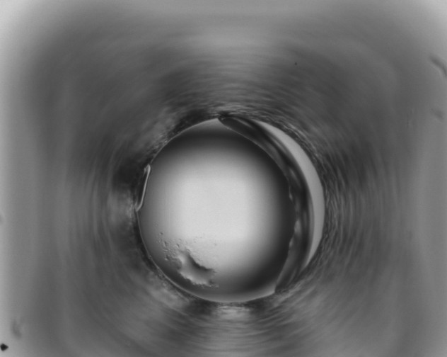 X0000095930617200801181441