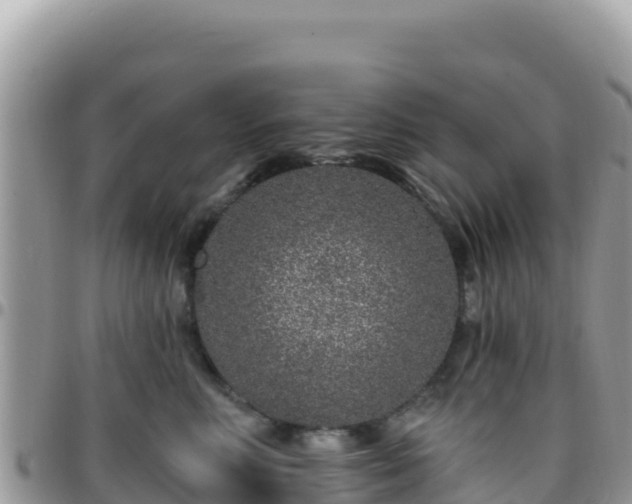 X0000095930618200801181441