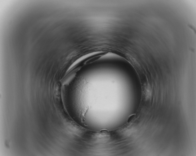 X0000095930619200801181441