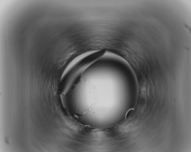 X0000095930620200801181441