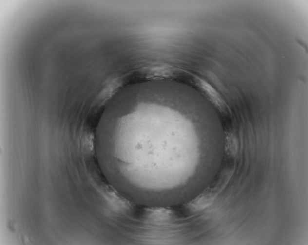 X0000095930621200801181441
