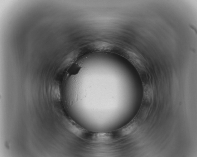 X0000095930622200801181441