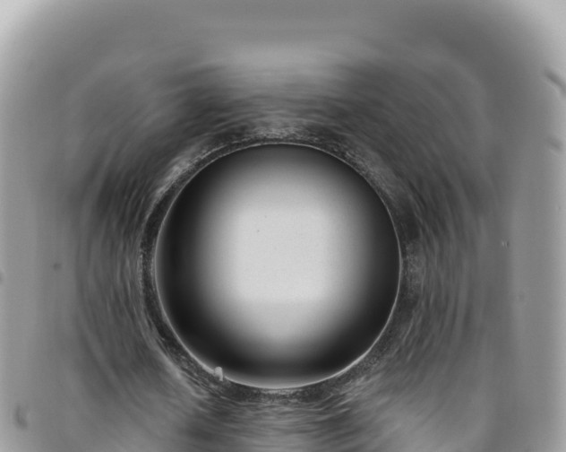 X0000095930626200801181441