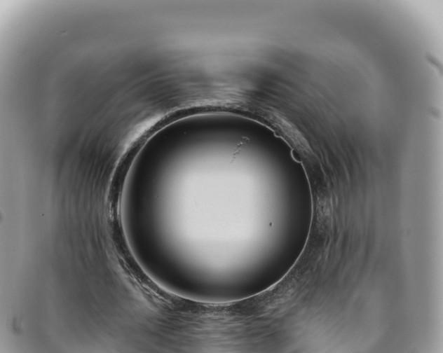 X0000095930628200801181441