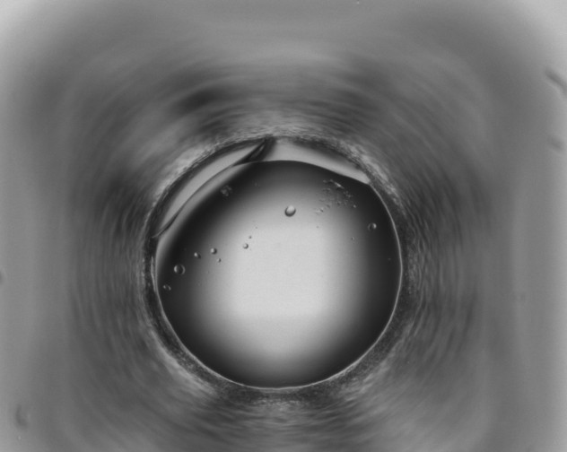 X0000095930629200801181441