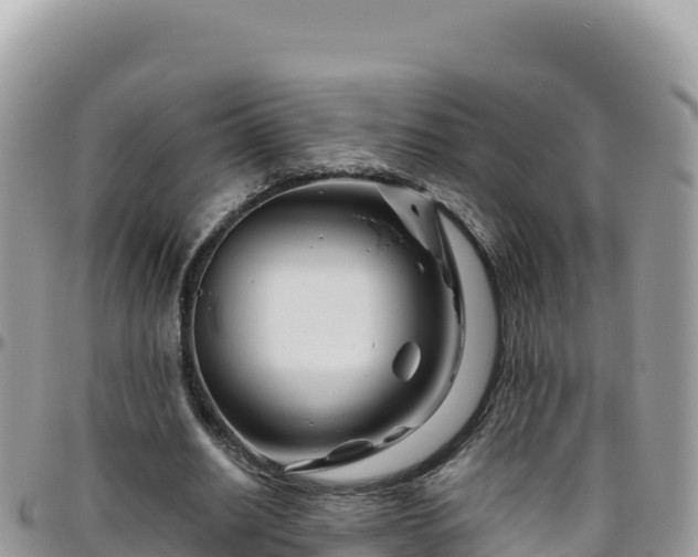 X0000095930630200801181441