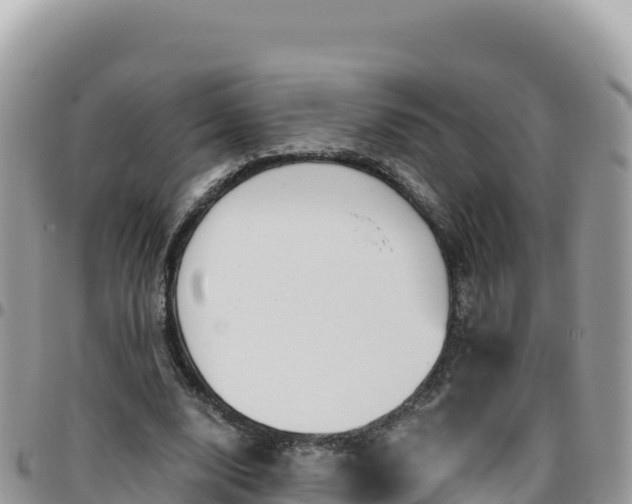 X0000095930632200801181441
