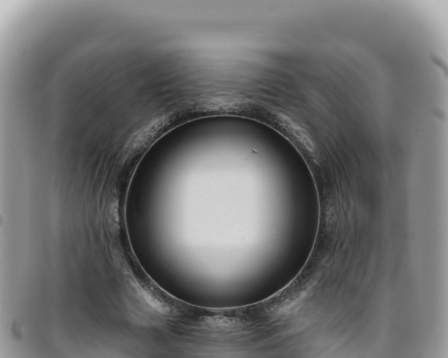 X0000095930633200801181441