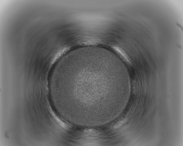 X0000095930634200801181441