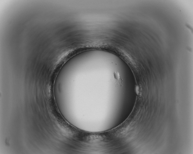 X0000095930636200801181441