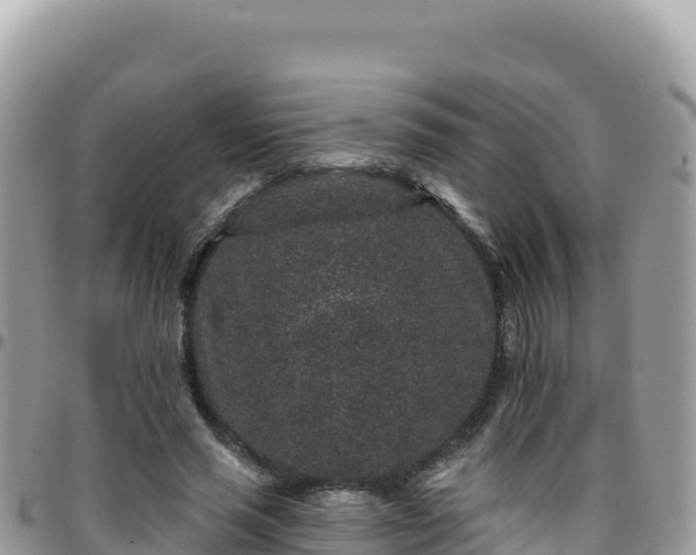X0000095930637200801181441