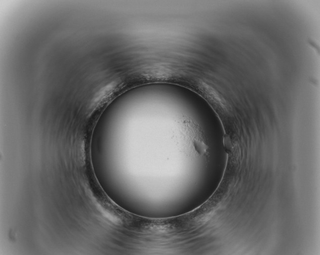 X0000095930638200801181441