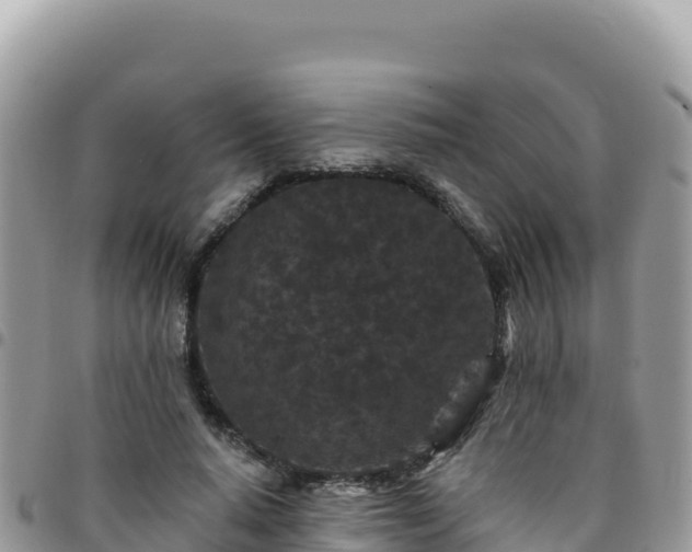 X0000095930640200801181441