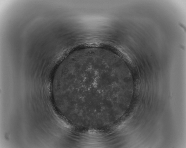 X0000095930641200801181441
