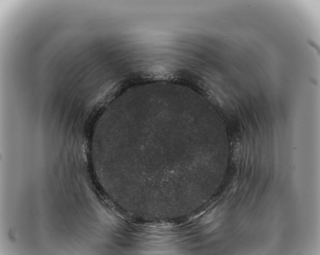 X0000095930643200801181441