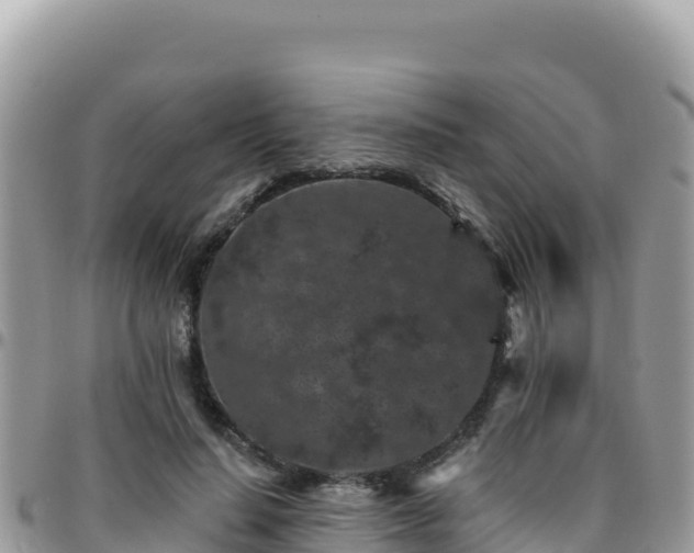 X0000095930644200801181441