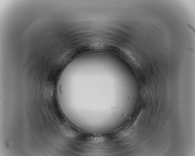 X0000095930645200801181441