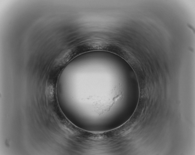 X0000095930646200801181441