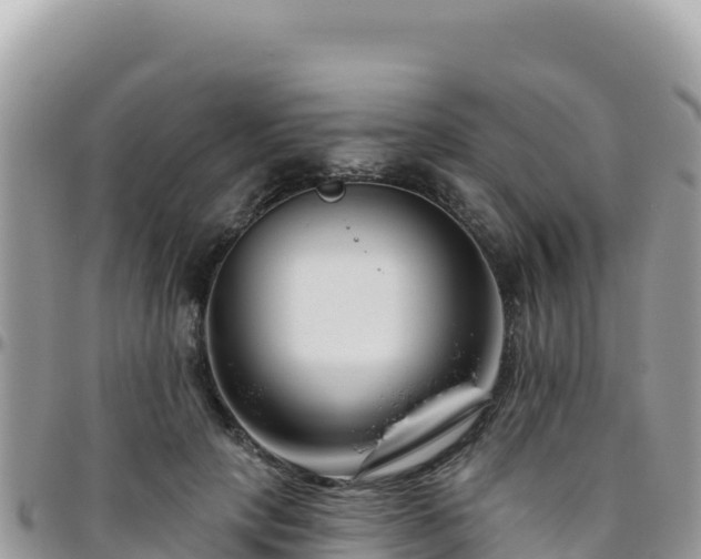 X0000095930649200801181441
