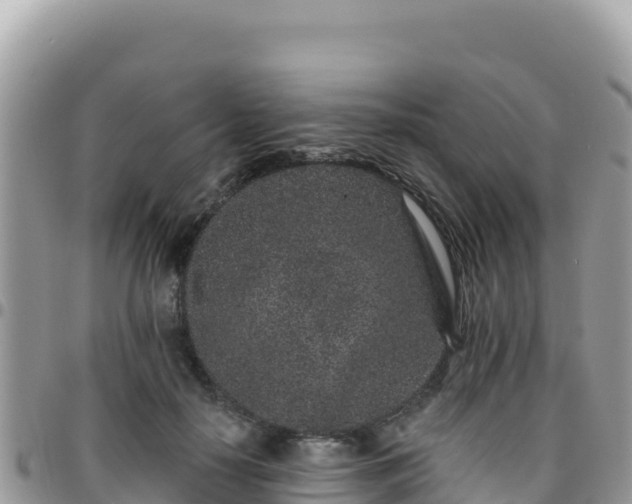 X0000095930650200801181441