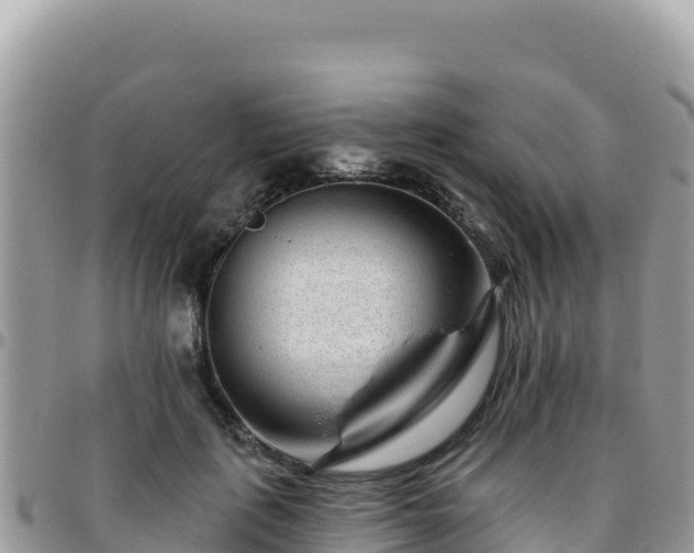 X0000095930651200801181441