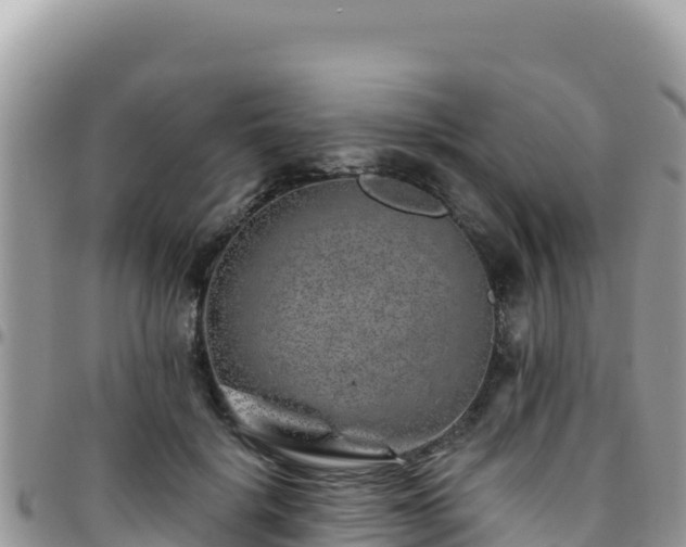 X0000095930652200801181441