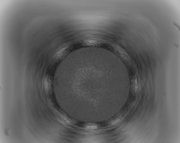 X0000095930653200801181441