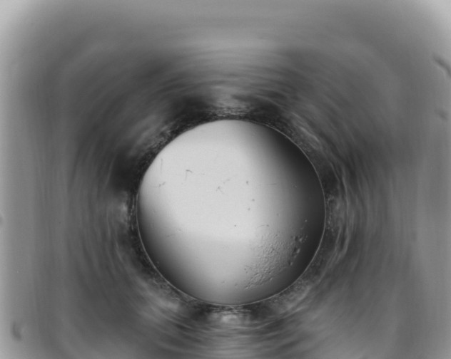 X0000095930655200801181441