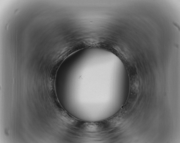 X0000095930658200801181441