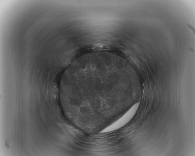 X0000095930659200801181441