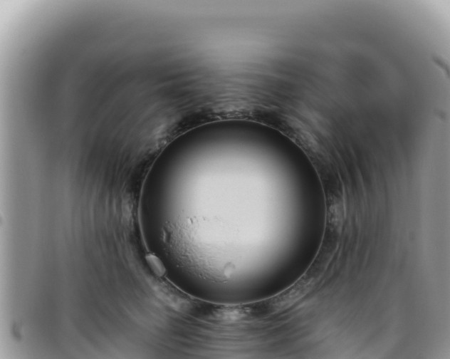 X0000095930662200801181441