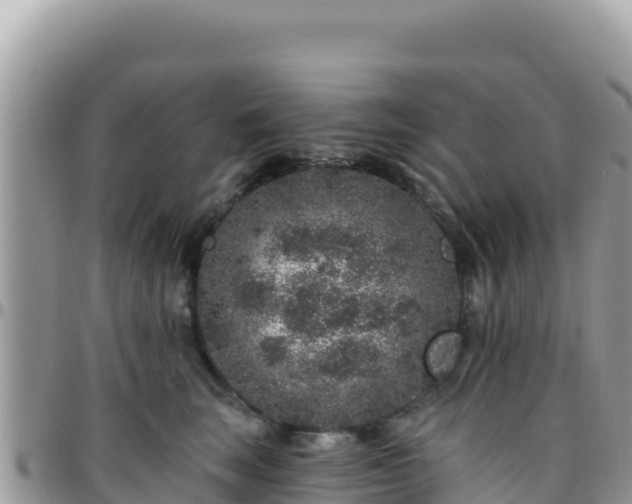 X0000095930663200801181441