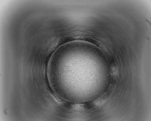 X0000095930664200801181441
