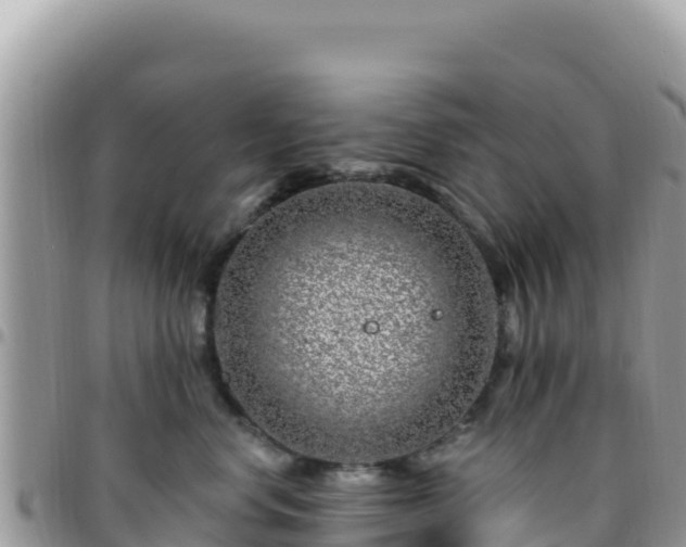X0000095930668200801181441