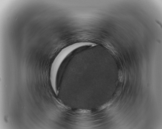 X0000095930670200801181441