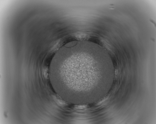 X0000095930671200801181441