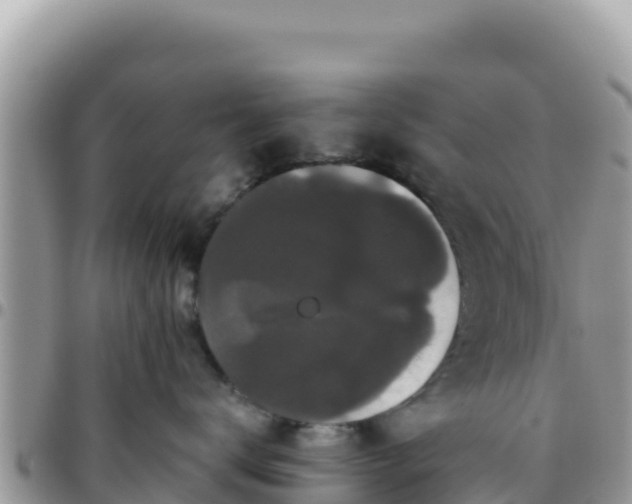 X0000095930672200801181441